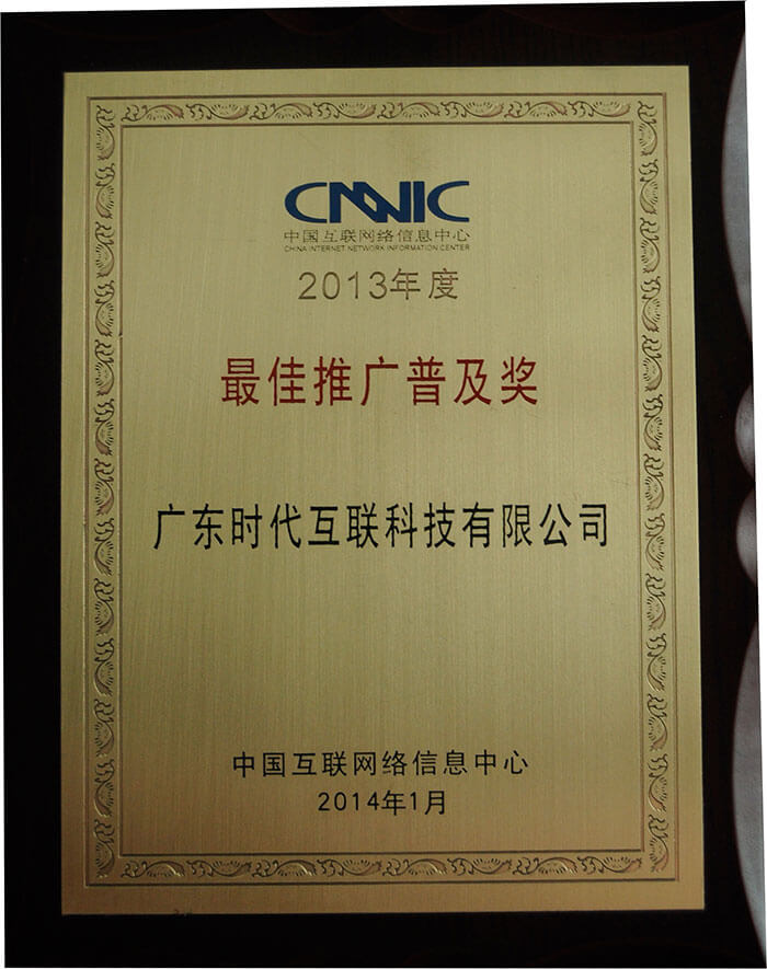 2013年度CNNIC“最佳推廣普及獎”