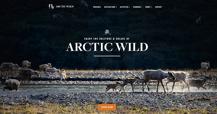 Arctic Wild Nature Site