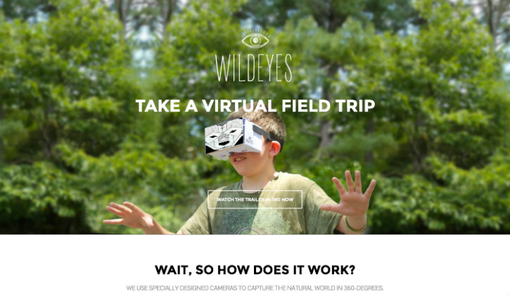 wild-eyes